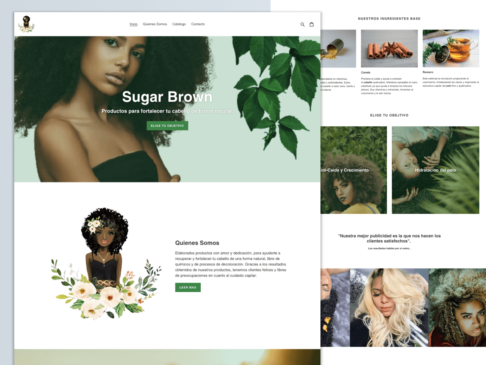 Project titled The sugar brown web